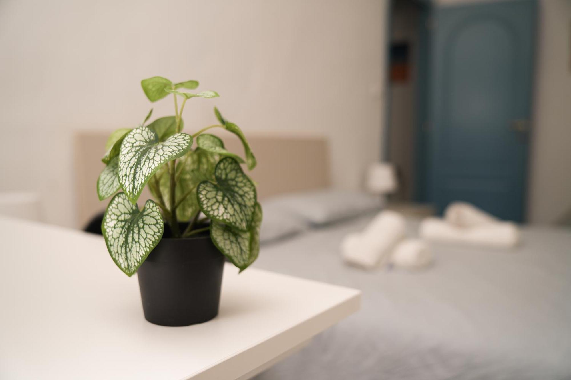 Camyhouse Apartment Торино Екстериор снимка