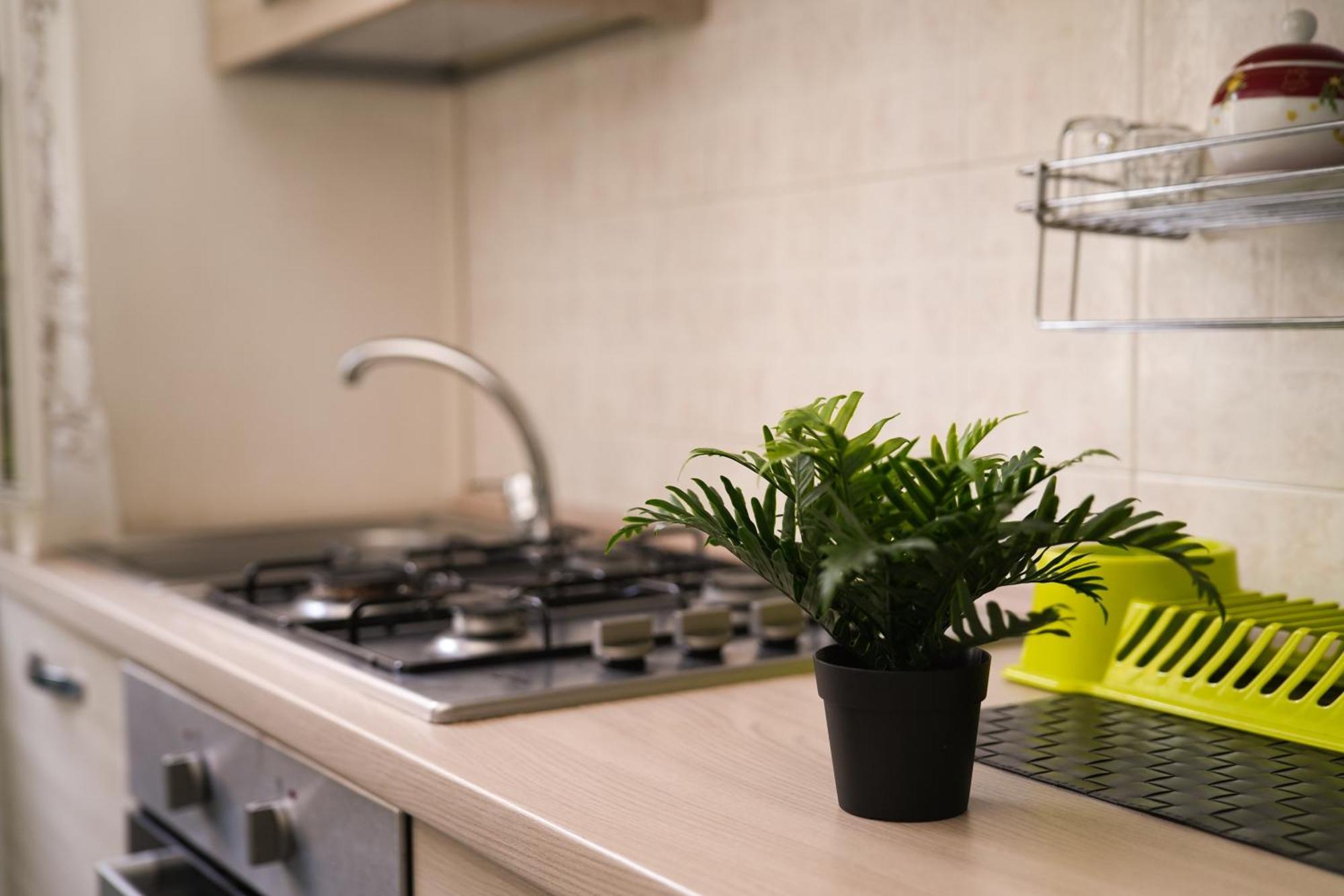 Camyhouse Apartment Торино Екстериор снимка